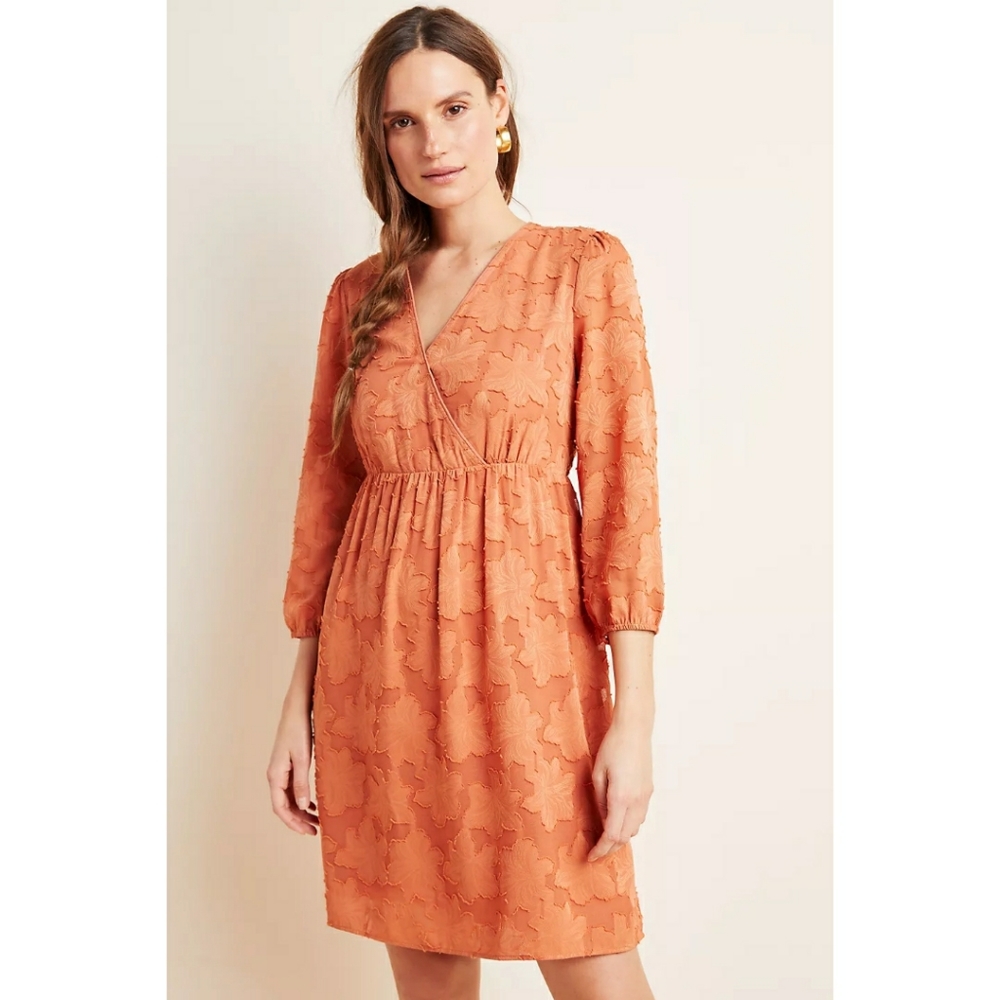 New ANTHROPOLOGIE by Daniel Rainn Lia Textured Mini Dress sz S